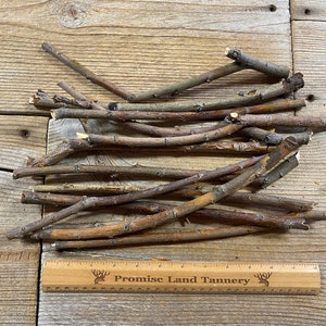 Hybrid Willow Limb Wood - Bag of 12 Pieces - Small Diameter Twigs and Sticks - Lot No. 220130-PPP