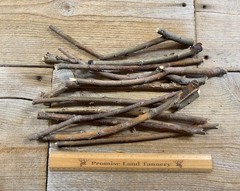 May include: A pile of 18 natural brown twigs, approximately 6 inches long, arranged on a wooden surface. A ruler with the text "Promise Land Tannery" is visible at the bottom of the image.