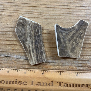 Elk Antler Pendants- Drilled Your Way- Real Elk Antler Lot No. 230827-CC