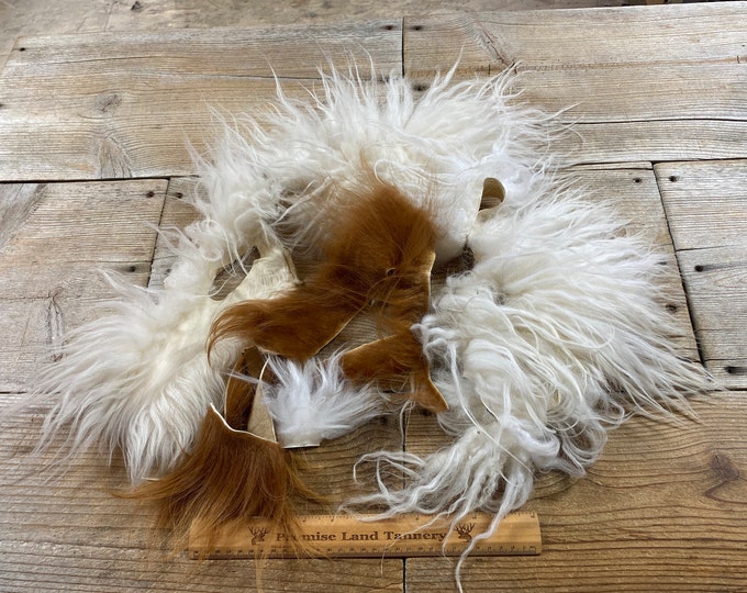 Mixed Long Hair Sheep and Highland Cow Hair on Scraps Real Fur Hide ...