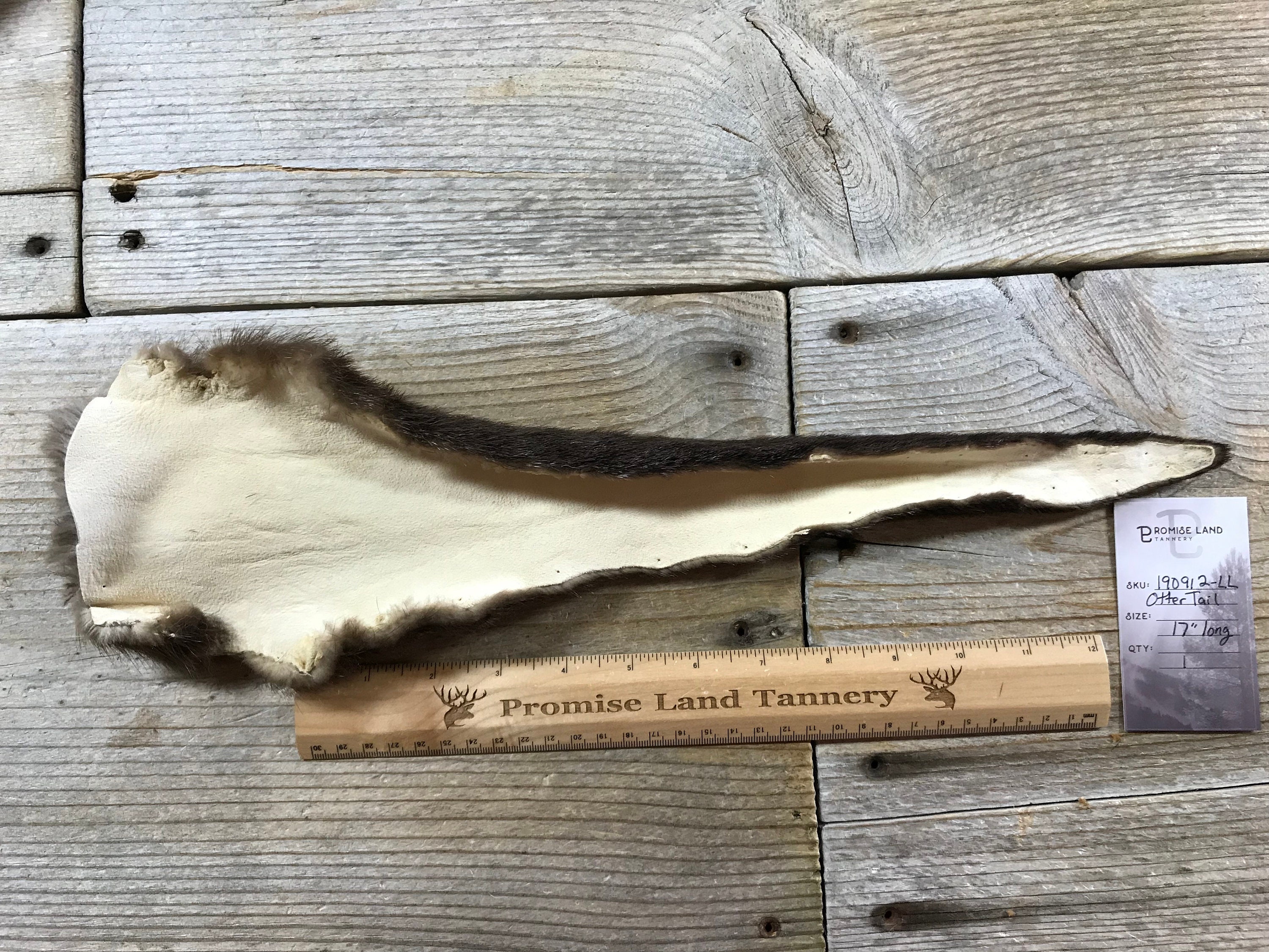 Natural River Otter Tail Soft Tanned Real Fur Lot No. | Etsy