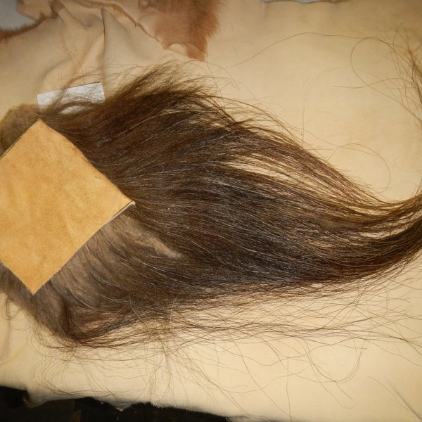 Musk Ox Hide Piece- 6 inches by 6 inches- EXTREME Hair Stock No. FUR-33X