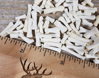 Small  Rabbit Foot or Paw Bones - Real Bones - Undrilled - 25 Assorted Pieces - Stock No. 1-3SM