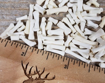 Small  Rabbit Foot or Paw Bones - Real Bones - Undrilled - 25 Assorted Pieces - Stock No. 1-3SM