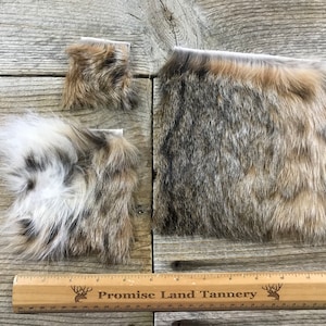 Bobcat Hair on Hide Piece - Choice of Size - Stock No. FUR-34