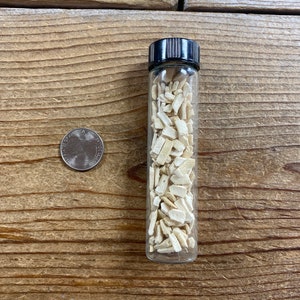 May include: A small glass vial filled with white, irregularly shaped pieces of material. The vial has a black screw-top lid. A US quarter is shown for scale.