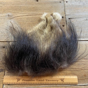 Muskox Legskin - Soft Tanned - Lot No. 230119-F
