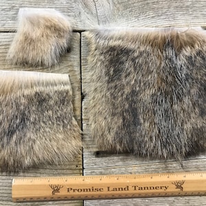 Coyote Hair on Hide Piece - Choice of Size - Stock No. FUR-44