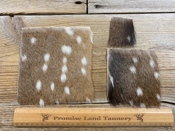 Axis Deer Hair on Hide Piece - Choice of Size - Stock No. FUR-29