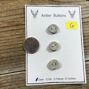 Deer Antler Buttons - 3 Small Buttons- Lot No. 201230-G