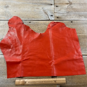 Goat Hide Leather - Rear 1/4 Hide - Orange - Lot No. 210610-HH