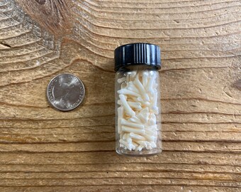 Vial of Muskrat Toe Bones - Lot No. 220310-BBB