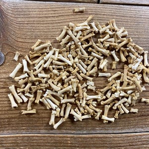 Jewelry Assortment of Coyote Bones - 175+ Toe Bones - Real Bones - Lot No. 240824-XX