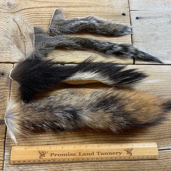 Lot of 4 Assorted Tails - Tanned - Natural Real Fur - Lot No. 221103-OOO