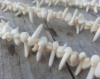 Coyote Claw Bone Beads - Real Bones- 6 Inch Long Strand - Stock No. DR1-10