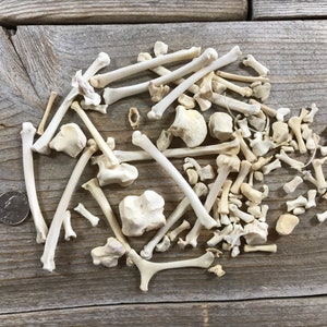 Little Bones Crafters Mixed Bag - 40 Pieces -  Stock No. 1-89