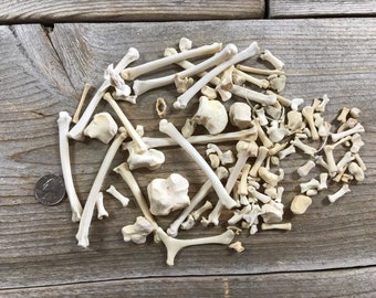 Little Bones Crafters Mixed Bag - 40 Pieces -  Stock No. 1-89