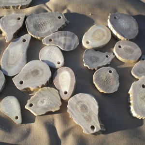 BIG and Chunky Drilled Deer Antler Slice Pendants - Charms - Natural, Unfinished 10 Pieces - CHOICE of STYLE