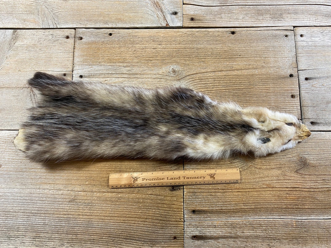 Virginia Opossum Pelt Wallhanger Quality Fur Soft Tanned Hide Lot No