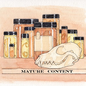 Wet Preserved Stillborn Domestic Piglet Heart Specimen - Jarred Specimen - Mature - Lot No. 230112-CC