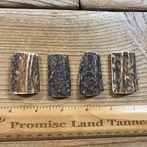 Elk Antler Pendants- Drilled Your Way- Real Elk Antler Lot No. 230827-TT