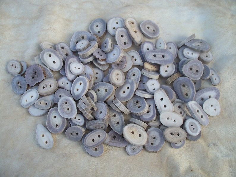 Large Deer Antler Buttons Lot of 25 Pieces Stock No. L-BUTTONS image 2