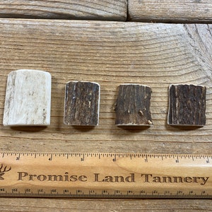 Elk Antler Pendants- Drilled Your Way- Real Elk Antler Lot No. 230827-JJ