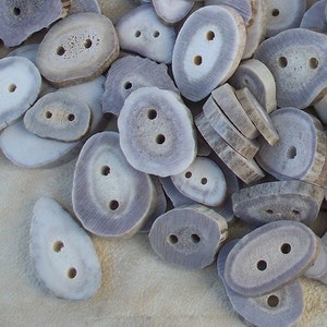 Extra Small Deer Antler Buttons - Lot of  25 Pieces Stock No. BUTTONS