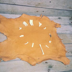 May include: A tanned hide with a rough, irregular shape, displayed against a backdrop of weathered wooden planks. Arranged on the hide are several small, white animal bones and teeth, creating a circular pattern.