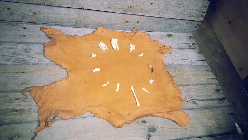 May include: A tanned hide with a rough, irregular shape, displayed against a backdrop of weathered wooden planks. Arranged on the hide are several small, white animal bones and teeth, creating a circular pattern.