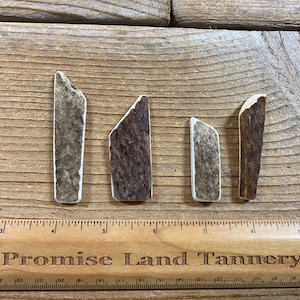 Elk Antler Pendants- Drilled Your Way- Real Elk Antler Lot No. 230827-LL