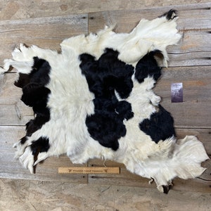 Black and White Holstein Calf Hide - Rug Quality - Lot No. 230406-X