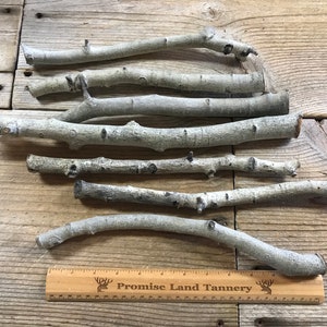 Aspen Limb Wood - 12&quot; Medium - Stock No. 1-511