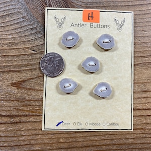 Deer Antler Buttons - Small to Medium - 5 Matching Buttons - Lot No. BC211026-H