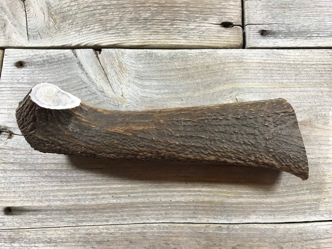 Elk Antler Piece for Knife Handle or Gun Grips Large Lot Etsy