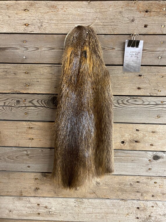 Nutria Fur Pelt Soft Garment Tanned as Shown Lot No. 210408 XX Etsy UK