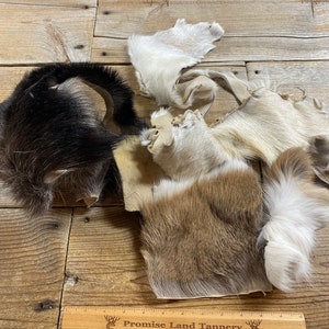 Hide Scraps and Fur Pieces - Mixed Species Collection - One Pound Bag - Lot No. 221006-LLL