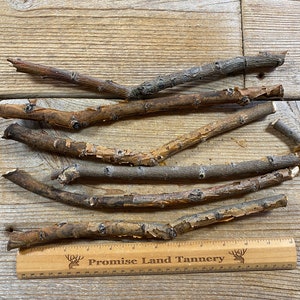 Hybrid Willow Limb Wood - Bag of 6 Pieces - Small Diameter Twigs and Sticks - Lot No. 220130-NNN