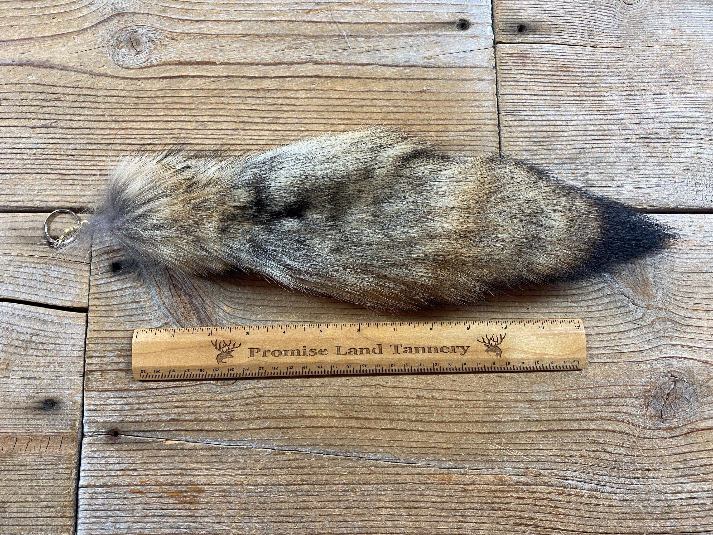 Natural Coyote Tail Key Chain - Real Fur - Lot No. 241017-D