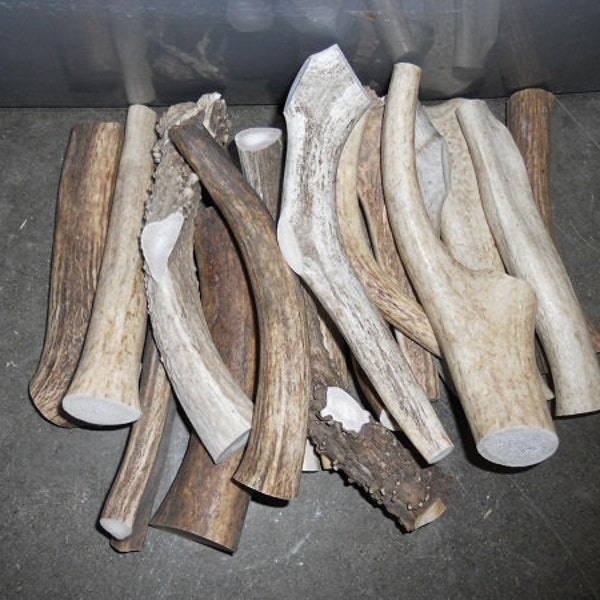 Deer and Elk Antler Dog Chew Toys - By the Pound - Pick Your Size