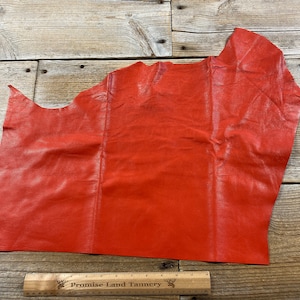 Goat Hide Leather - Rear 1/4 Hide - Orange - Lot No. 210610-II