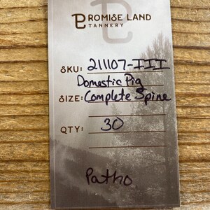 May include: A white label with black text that reads "Promise Land Tannery" and a SKU number of "211107-III". The label also lists "Domestic Pig Complete Spine" and a quantity of "30".