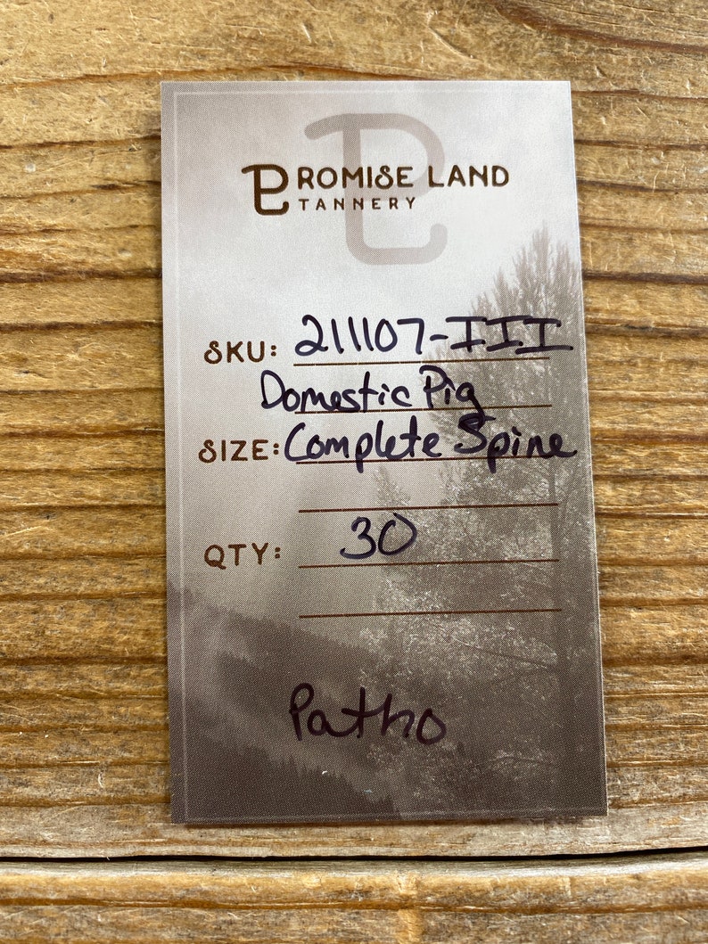 May include: A white label with black text that reads "Promise Land Tannery" and a SKU number of "211107-III". The label also lists "Domestic Pig Complete Spine" and a quantity of "30".