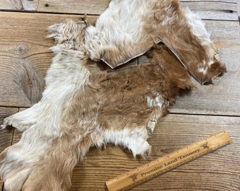 Lot of 2 Select Light Brown Calf Hide Pieces - Lot No. 240824-PPP