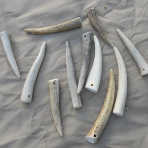 Drilled Antler Tips or Points for Pendants,  Etc. - 10 Assorted Pieces - 2.5 to 4 Inches Long