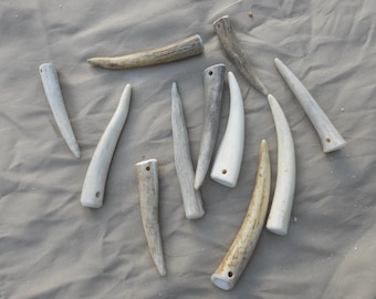 Drilled Antler Tips, Pendant Supplies, 2.5-4 Inch, 10 Pieces