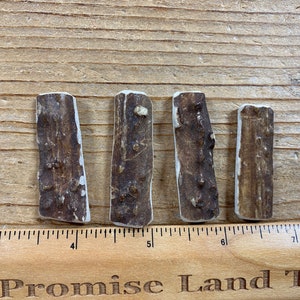 Deer Antler Pendants- Drilled Your Way- Real Deer Antler Lot No. 230827-VVV