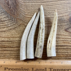 Deer Antler Points - Drilled Your Way - Lot No. 230126-PP