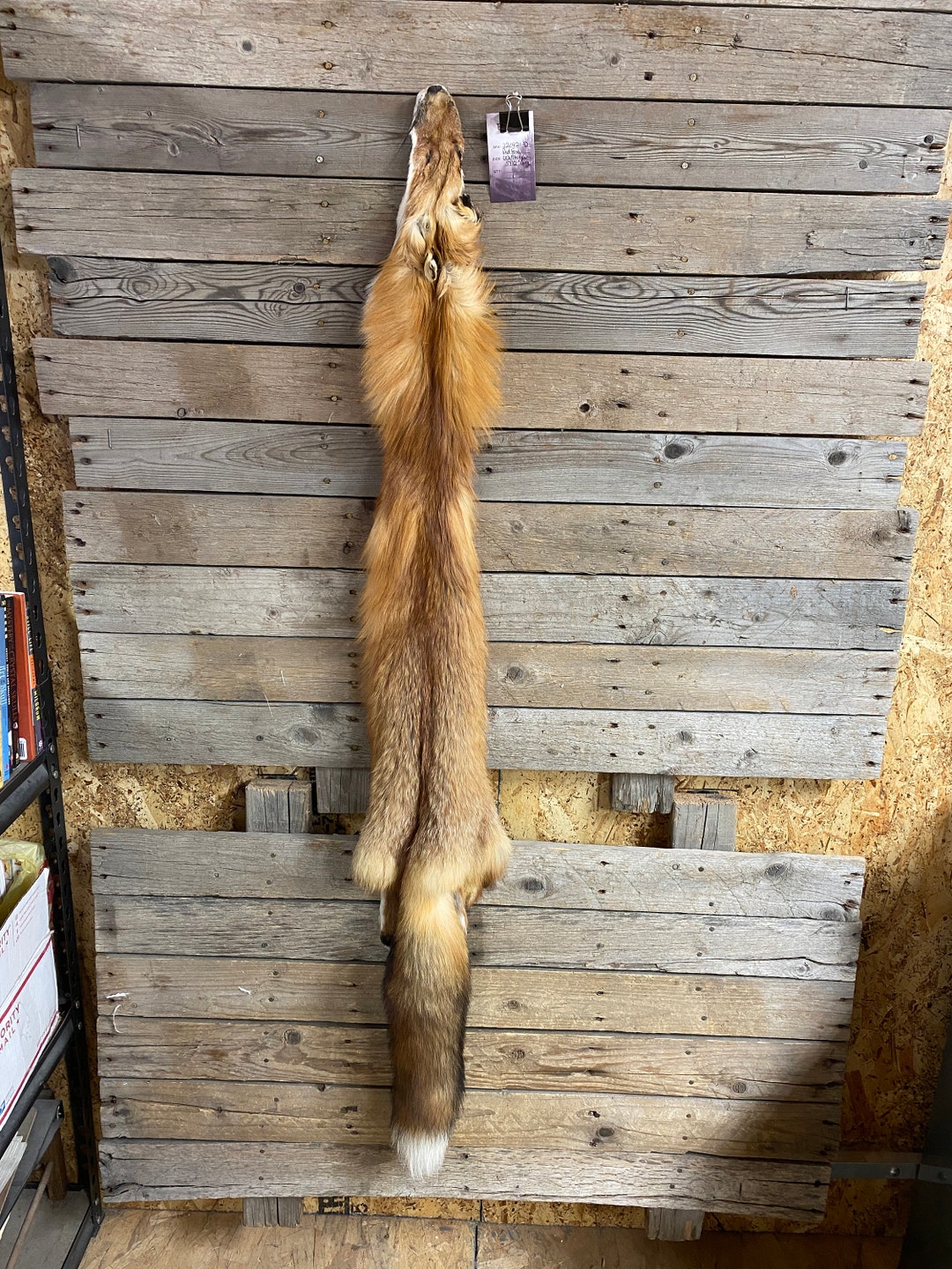Eastern Red Fox Pelt Wallhanger Quality Fur Soft Tanned - Etsy