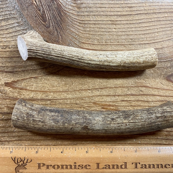 Antler Pen Blanks Etsy